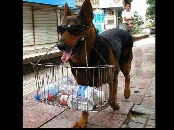 இந்த மாதிரி நீங்க டிரை பண்ணிருக்கிங்களா