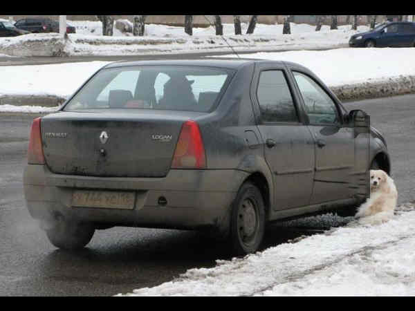 இந்த மாதிரி நீங்க டிரை பண்ணிருக்கிங்களா