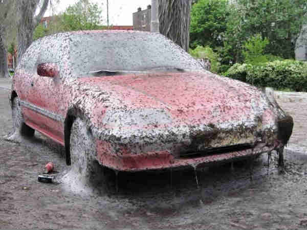 இந்த மாதிரி நீங்க டிரை பண்ணிருக்கிங்களா