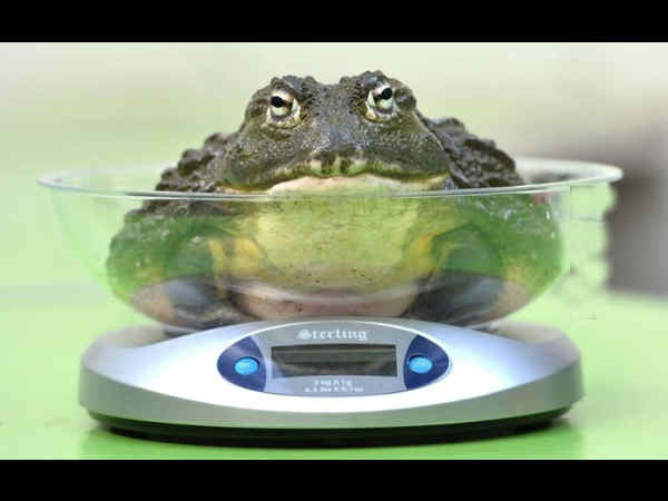 இந்த மாதிரி நீங்க டிரை பண்ணிருக்கிங்களா