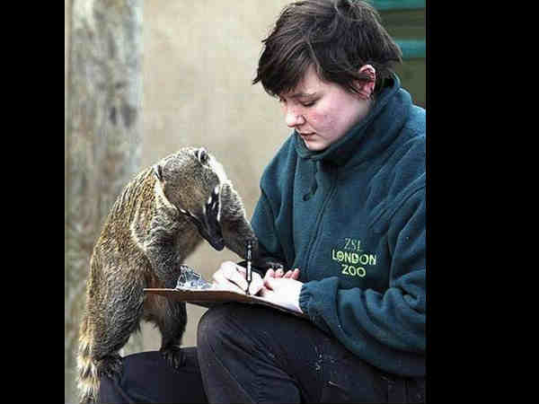 இந்த மாதிரி நீங்க டிரை பண்ணிருக்கிங்களா