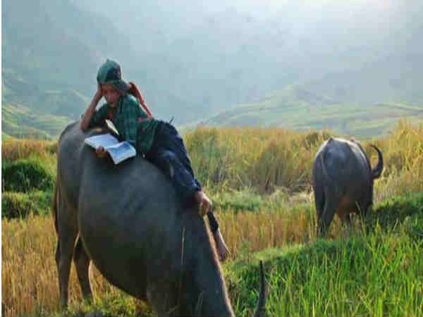இங்க பாருங்க நம்ம இந்திய சாகசத்த...