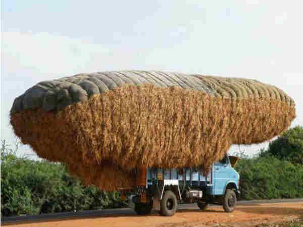 இங்க பாருங்க நம்ம இந்திய சாகசத்த