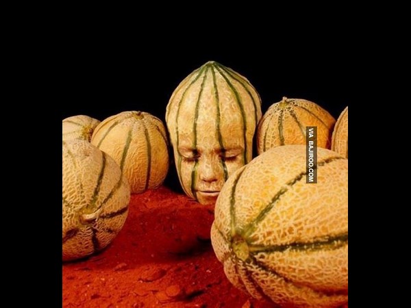 இவர பாத்திங்களா இல்லையா