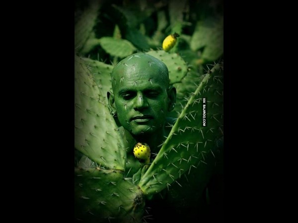 இவர பாத்திங்களா இல்லையா