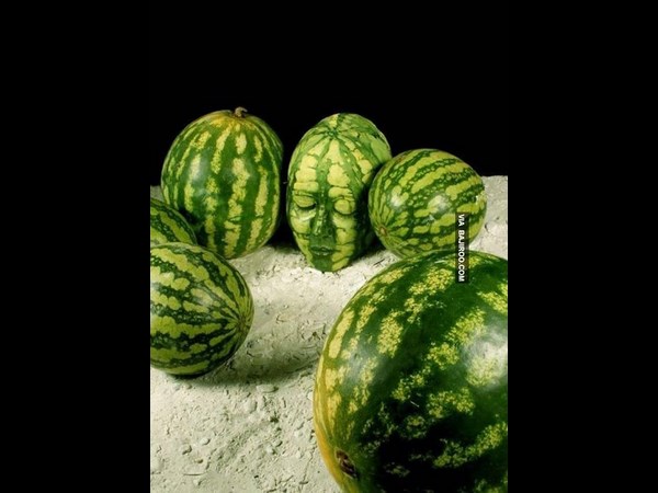 இவர பாத்திங்களா இல்லையா