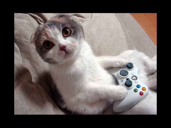 இலவச ஆண்ட்ராய்டு கேம்கள்