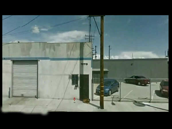 கூகுளால் கிடைத்த நாய் இதுதான் 