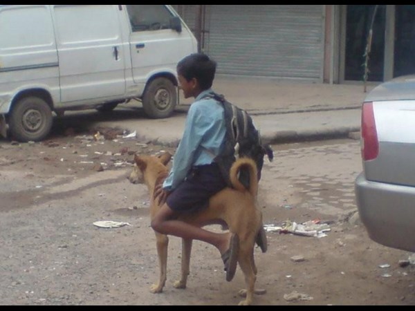ஆன்லைன் போட்டோஸ்