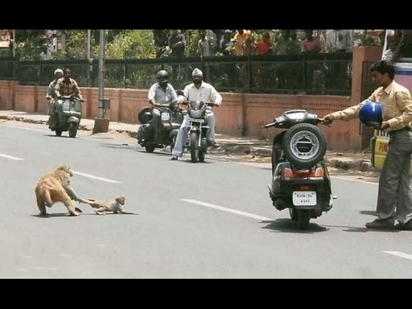 ஆன்லைன் போட்டோஸ்