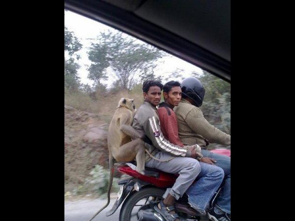 ஆன்லைன் போட்டோஸ்