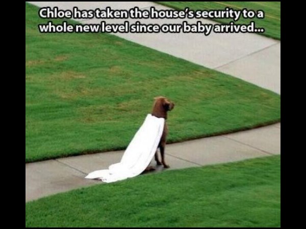 #56