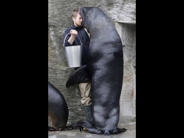 #35