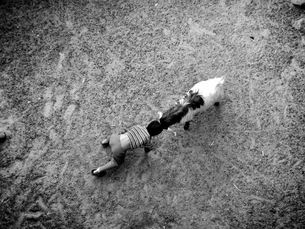 மொபைல் போன் 