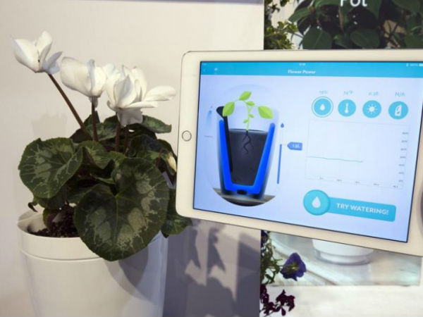 பேரட் பாட்