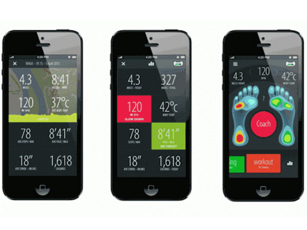 ஹூப்சிலோன் சென்சோரியா சாக்ஸ்