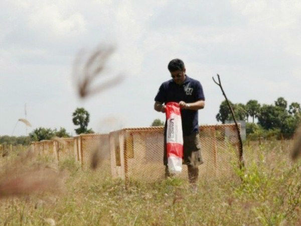 சோதனை ஓட்டம் :