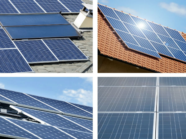 பசுமை கூடில்கள் : 