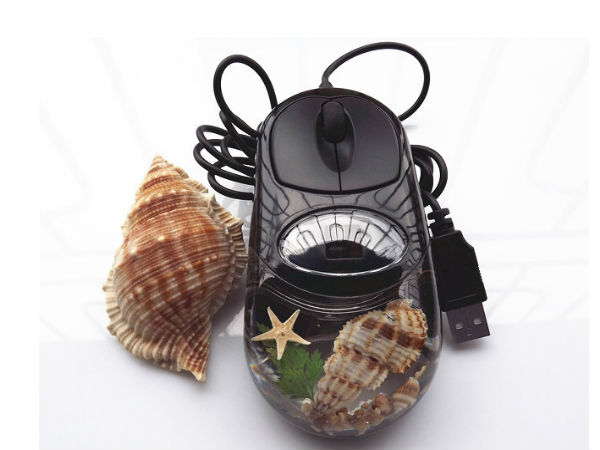 கடல்வாழ் உயிரினங்கள் :