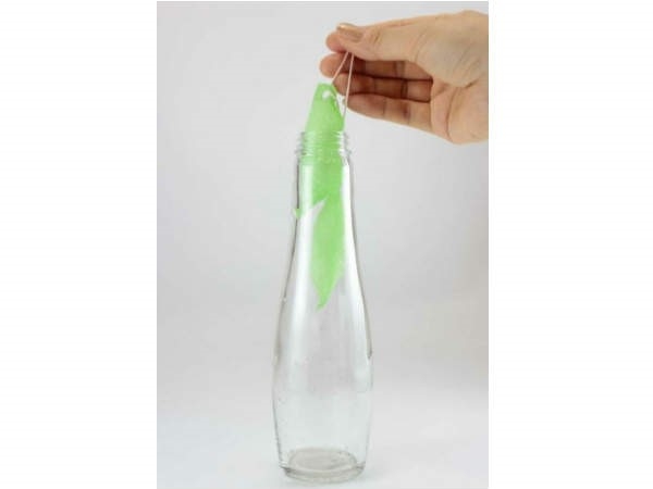 ஸ்பான்ஜ்