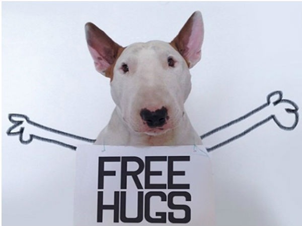 02. ஜிம்மி ச்சூ :