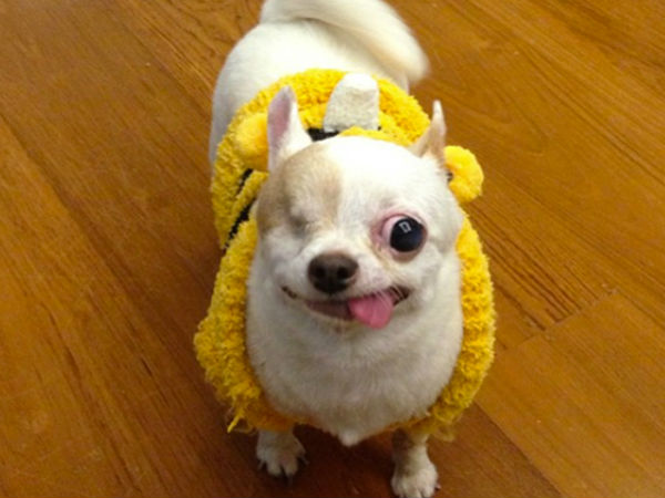 03. யோகர்ட் :