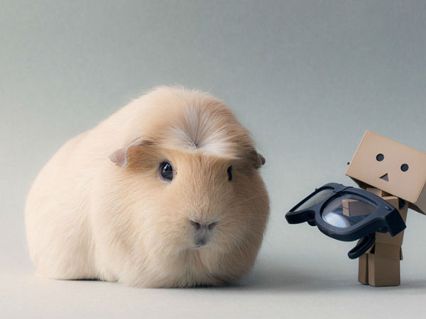 06. ப்பூப்பூ :