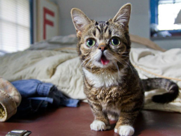 07. லில் பப் :