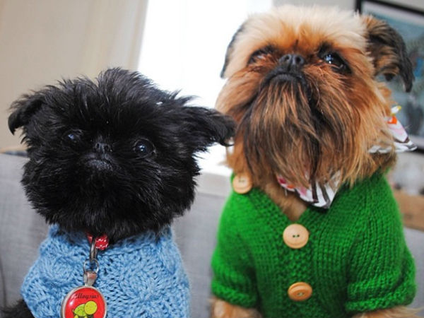 09. டிக்பை மற்றும் அலாய்சியஸ் வேன் வின்க்கில் :