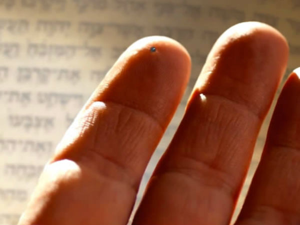 பைபிள் :