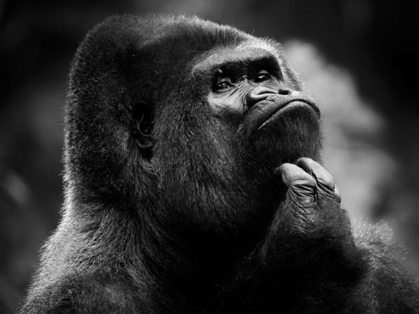 பவர் பேங்க்..!