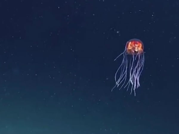 புகைப்படங்கள் :