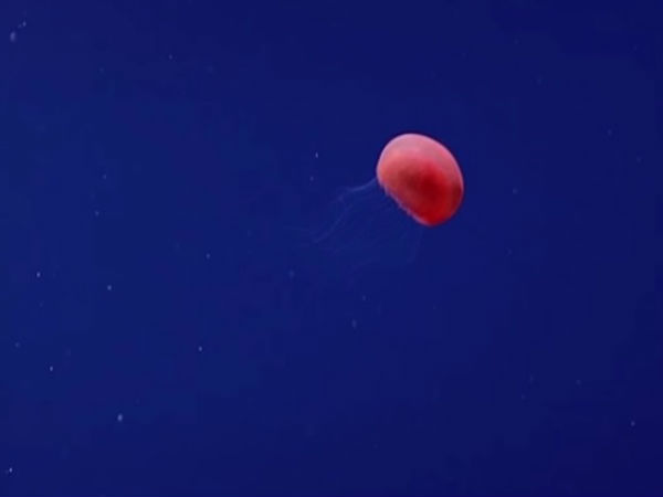 புதுமை :