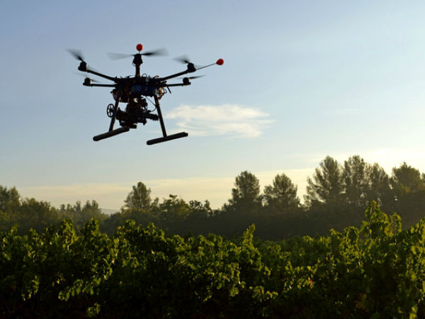 சே.. கரடி மேல இருந்த பயமே போச்சிப்பா..!