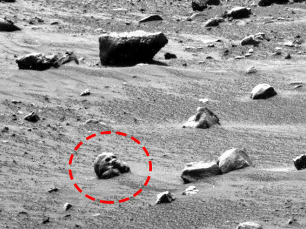 மண்டை ஓடு :