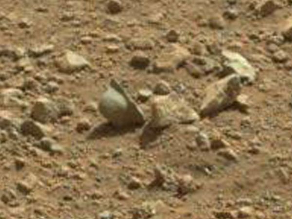 ஹெல்மெட் :