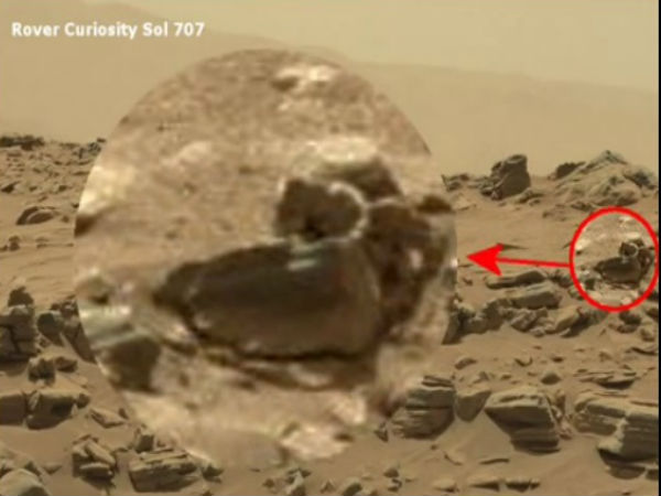 கோப்பை :