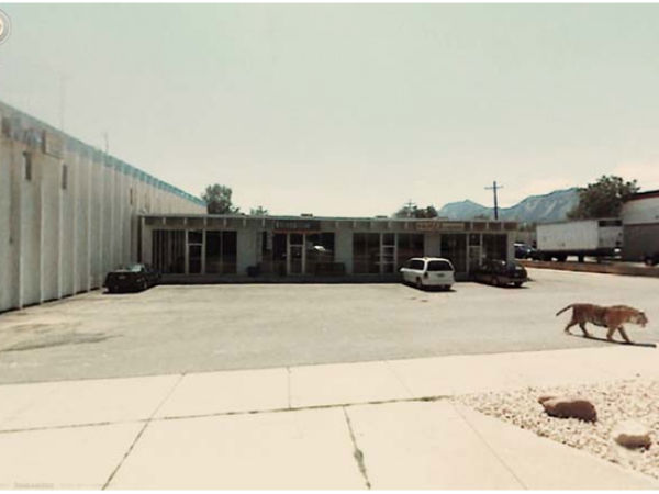 அச்சுறுத்தல் :