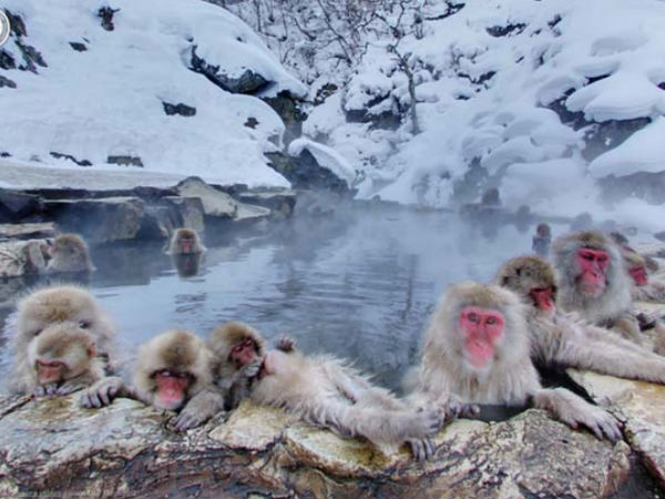 ஜப்பான் :