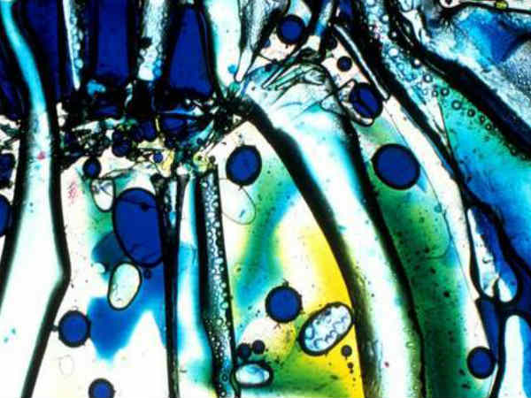 வர்ண பூச்சு :