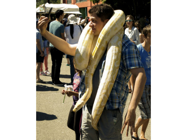 வெற்றி மாலை..?!