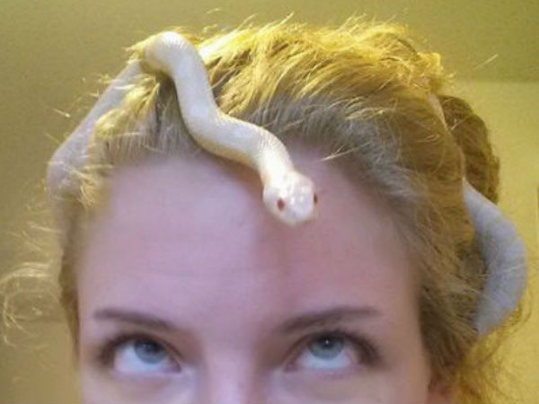 வாடா வாடா..!