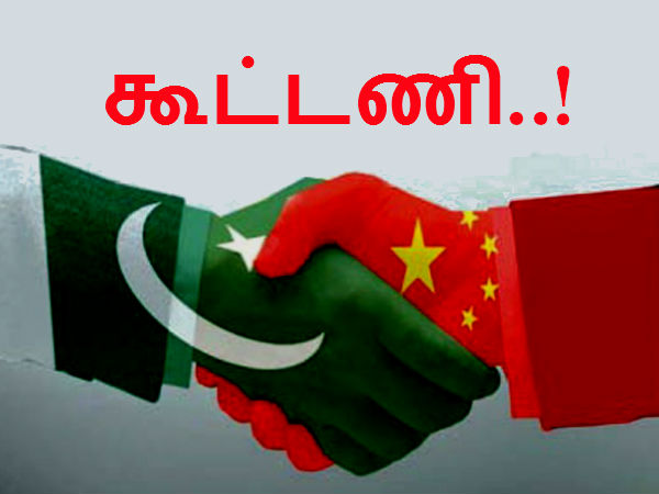 வளர்ச்சி :