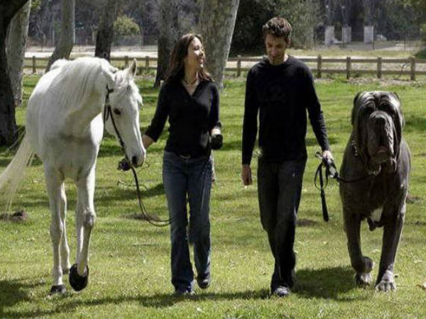 ஹெர்க்குலஸ் நாய்..!