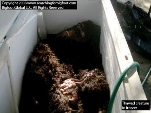 பனி மனிதன்..!