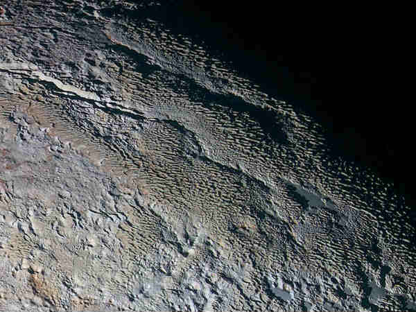 பாம்பின் தோல் :