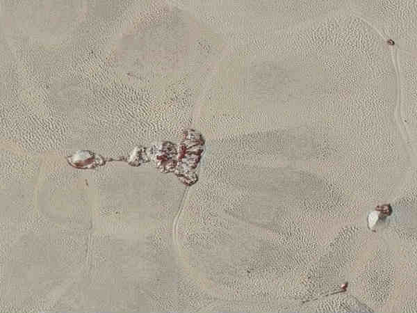 சமவெளி :