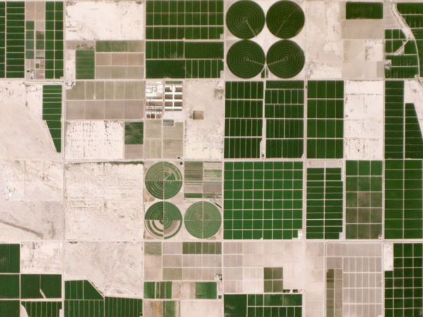 அரிசோனா