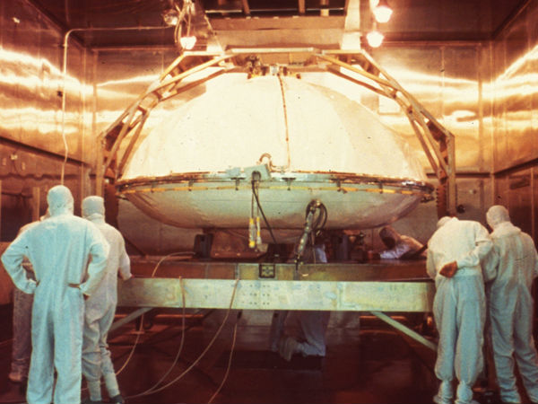 நான்கு வகை :