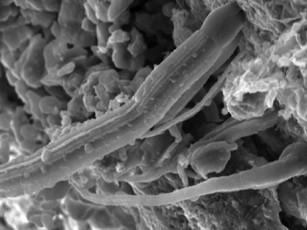 ஆதாரம் 05 :